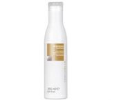 15004 - SHAMPOO DE BRILHO - 250ML