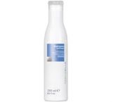 15012 - SHAMPOO ANTI FRIZZ - 250ML